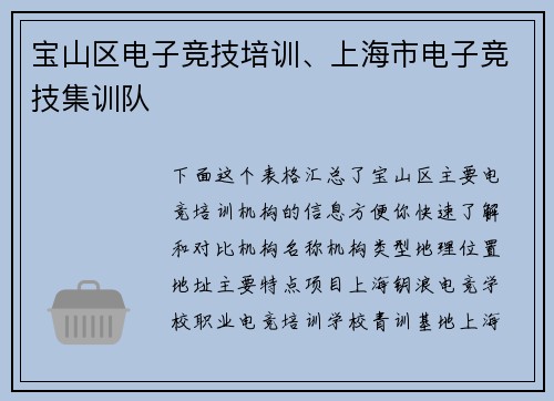 宝山区电子竞技培训、上海市电子竞技集训队
